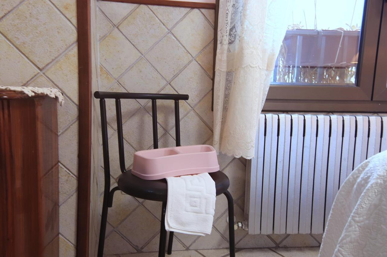 Estudios Casa Lola De Talarn Ngoại thất bức ảnh